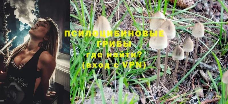 ссылка на мегу как зайти  Ишим  Псилоцибиновые грибы Magic Shrooms 